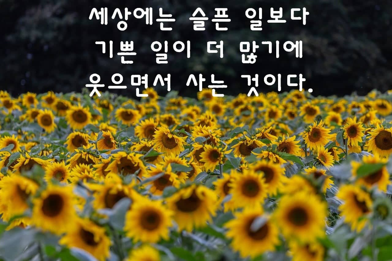 오늘도;예쁜 이미지